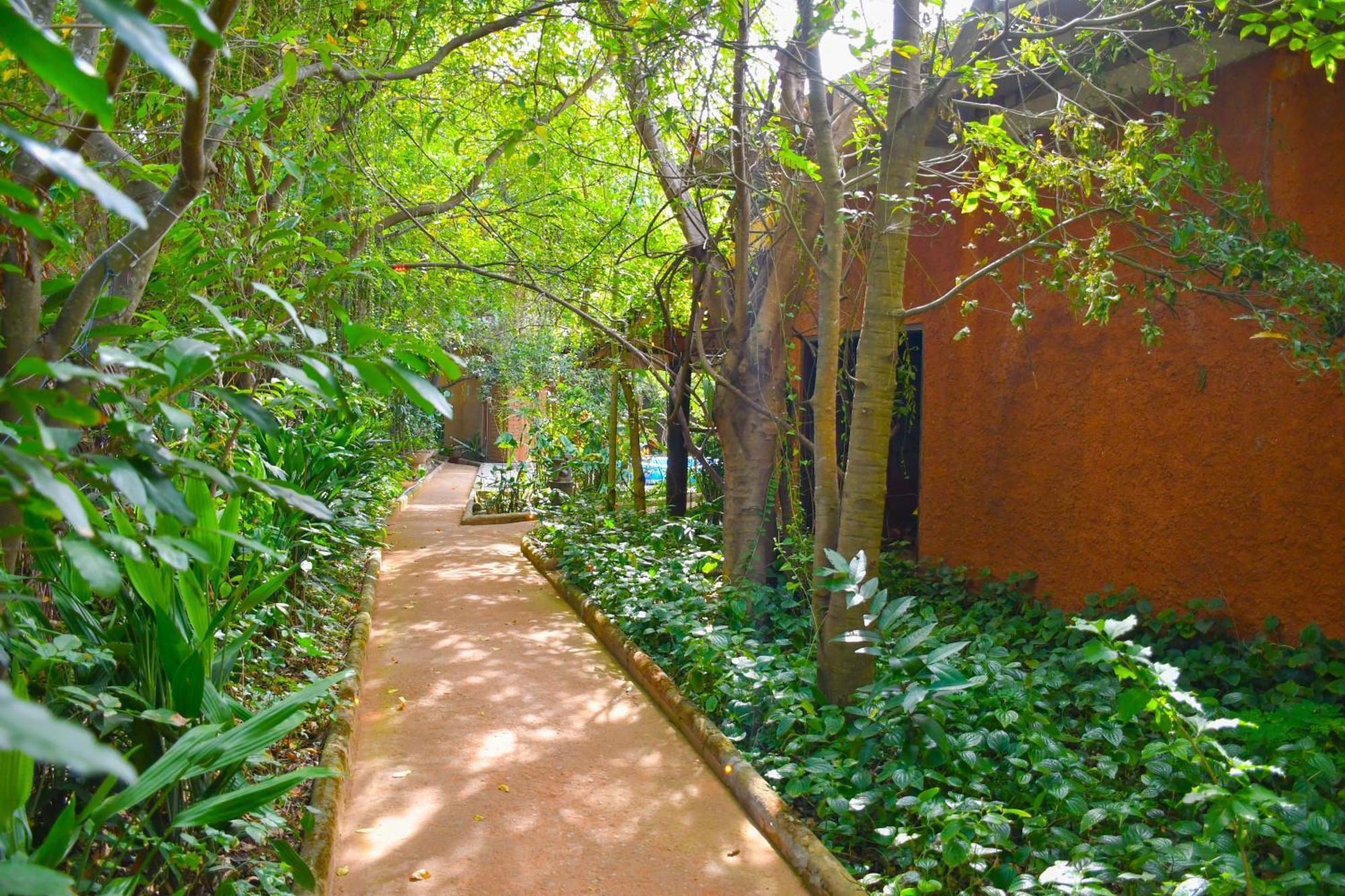 Hotel Gala Addara Дамбулла Экстерьер фото